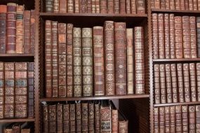 photo of the historical books in a library