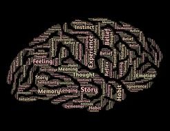 human brain with words on black background