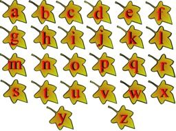 English alphabet on maple leaves