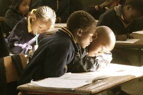 students learn in school