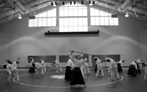 photo of the aikido seminar