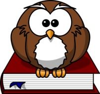 owl sitting on a book