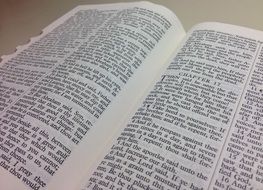 the bible script pages