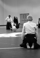aikido martial arts