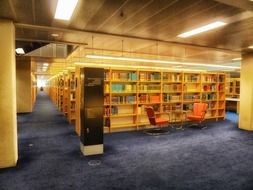 books on the shelves in a library