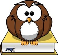 wise owl sitting on the book