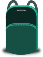 Picture of green backpack