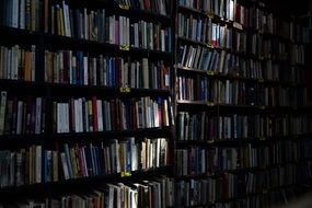 books in library shelves light pointed