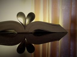 open book and heart from pages