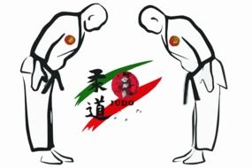 Picture of judo competition