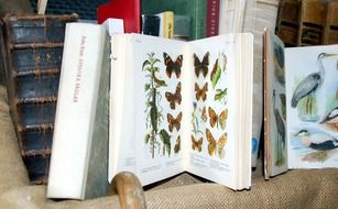 Books about the animals and butterflies