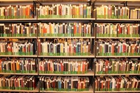 textbooks on different subjects on the shelves in the library