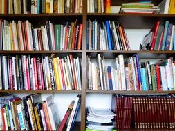 bookshelves in the library