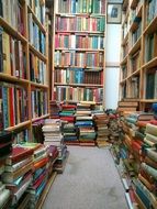 a large number of books in the library