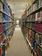 long book rows in the library