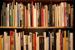 Books on shelves in the library