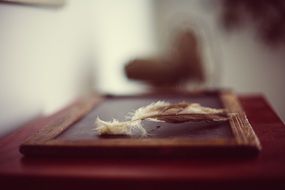 Feather on a chalkboard