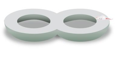 Mouse on the 3d infinity sign on white surface