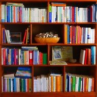 Library book shelf