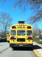 yellow school bus on a sunny day