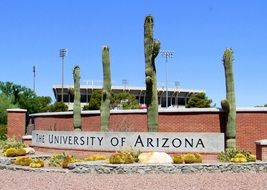 the university of arizona uofa