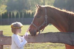 little girl and horse