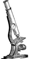 microscope cells drawing