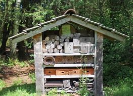 hotel for bees in the forest