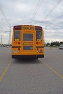 Orange school bus back view