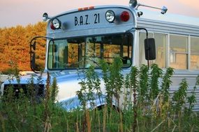 school bus baz 21