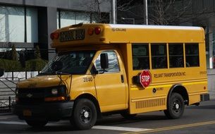 school bus in the street