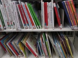 Colorful school books on the shelves