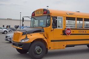 yellow school bus for pupils