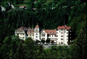 the school is surrounded by forest