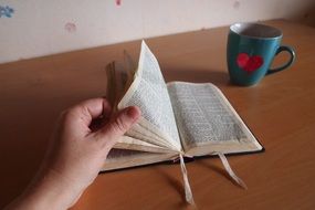 womanâs hand holding bible pages