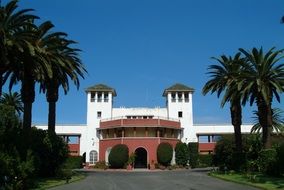 school palm