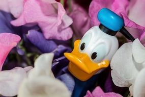 donald duck in flowers