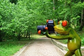 funny frog photographer with camera