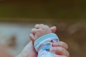 adult and baby hand