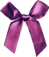 purple satin bow at white background