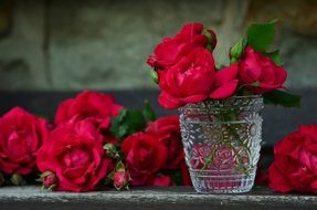 red roses in a glass cup