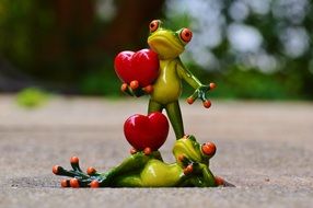 pair of frogs on valentine&#039;s day