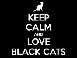 clipart of poster about black cats