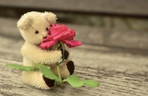 teddy bear with red rose