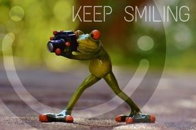 toy frog photographer keep smiling