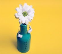Abstract decoration white flower in vase