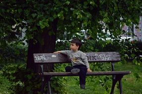 boy alone on branch in park