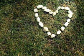 stones on the grass as a heart