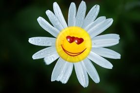 Picture of smiling flower