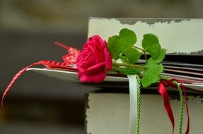 romance letters with a rose